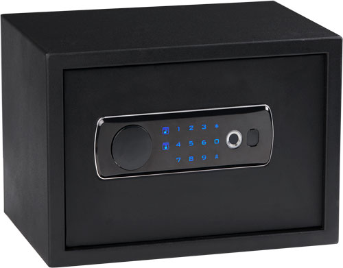 Bulldog Dual Led-biometric - Vault W- Shelf 13.5"x10"x10"